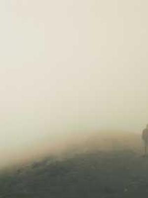 鉴黄师封面